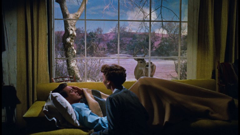 Screen capture from All That Heaven Allows