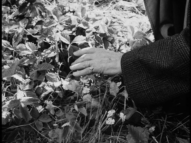 Screen capture from Wild Strawberries