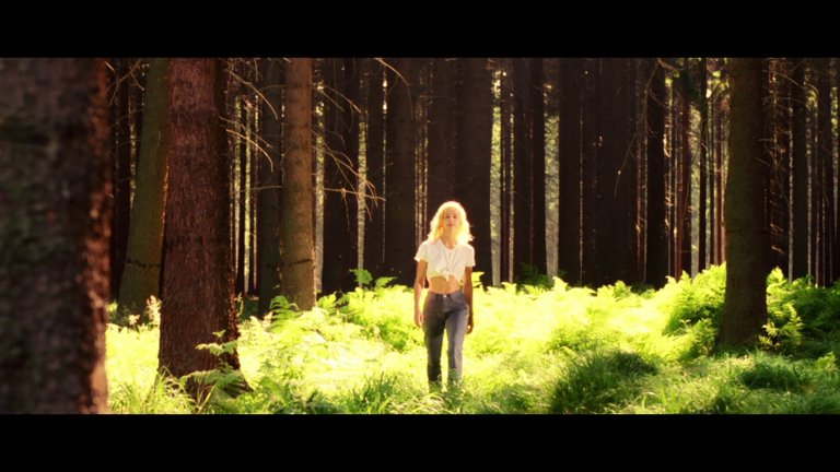 Screen capture from The Passion of Darkly Noon