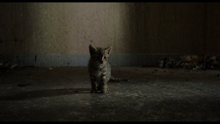 Screen capture from Trainspotting