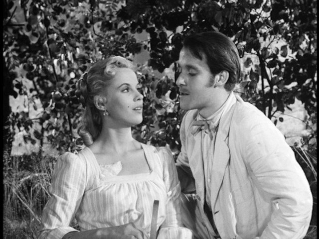 Screen capture from Wild Strawberries