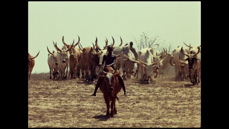 Screen capture from Touki Bouki / Redes