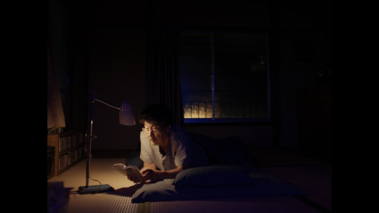Screen capture from Perfect Days