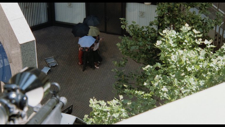 Screen capture from The Cat