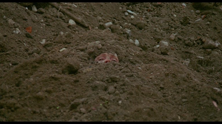 Screen capture from Pasolini 101