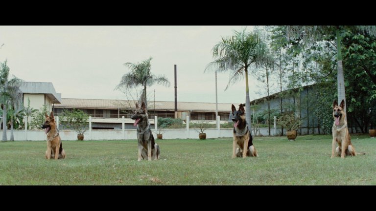 Screen capture from Bruce Lee: His Greatest Hits