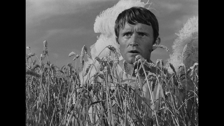 Screen capture from The Red Balloon and Other Stories: Five Films by Albert Lamorisse