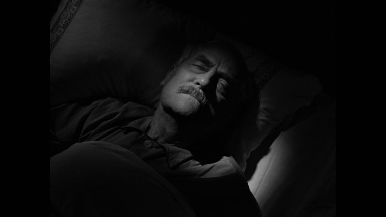 Screen capture from Wild Strawberries