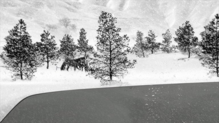 Screen capture from 24 Frames