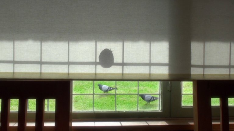 Screen capture from 24 Frames