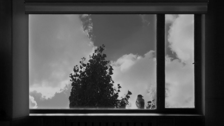 Screen capture from 24 Frames