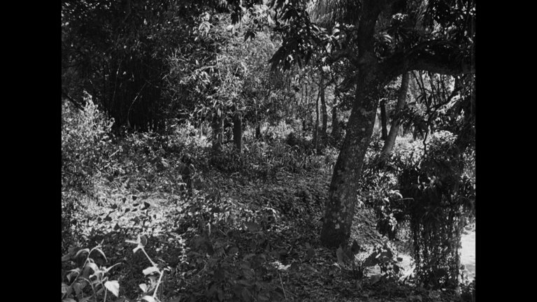 Screen capture from Pather Panchali
