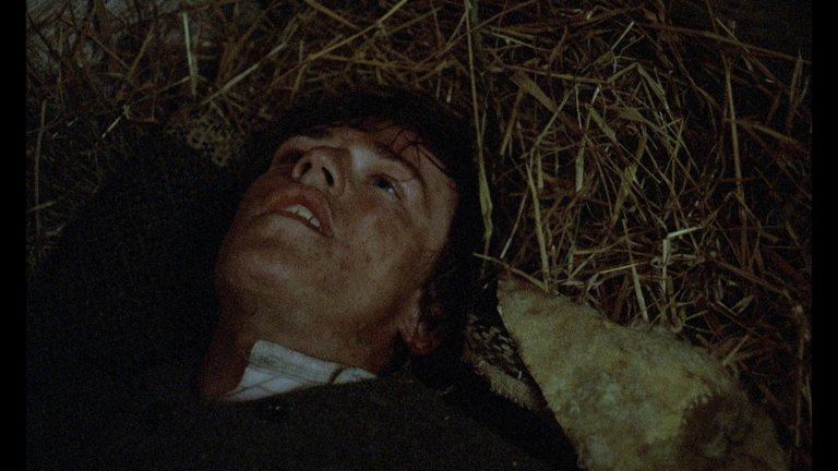 Screen capture from The Emigrants • The New Land