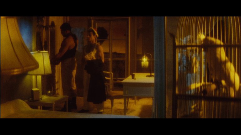 Screen capture from Querelle