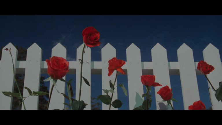 Screen capture from Blue Velvet