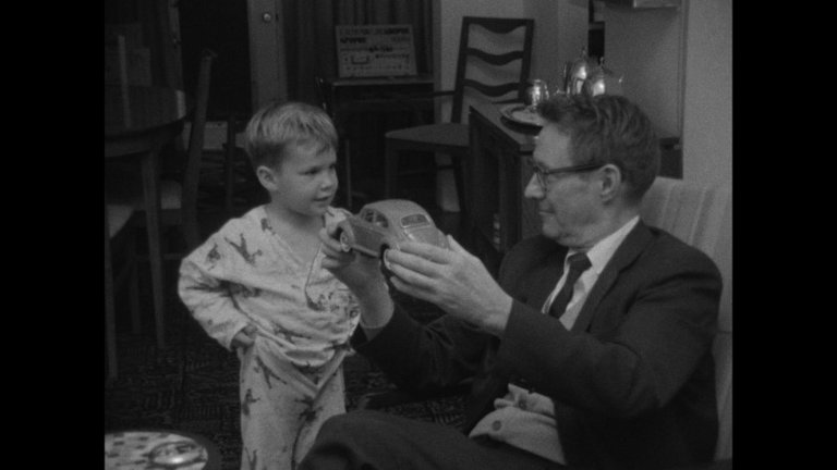 Screen capture from Salesman