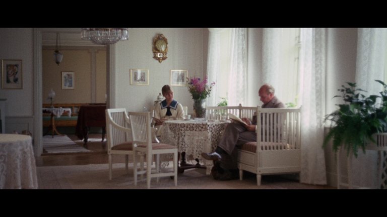 Screen capture from Bo Widerberg’s New Swedish Cinema