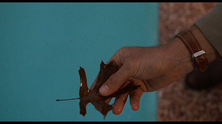 Screen capture from The Wes Anderson Archive: Ten Films, Twenty-Five Years
