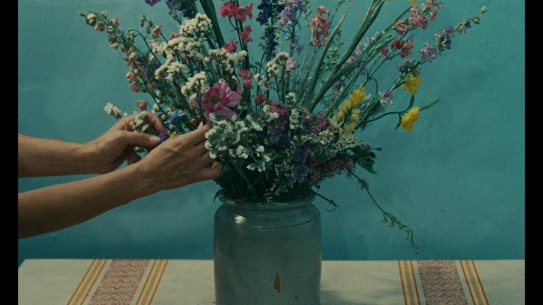 Screen capture from The Complete Films of Agnès Varda
