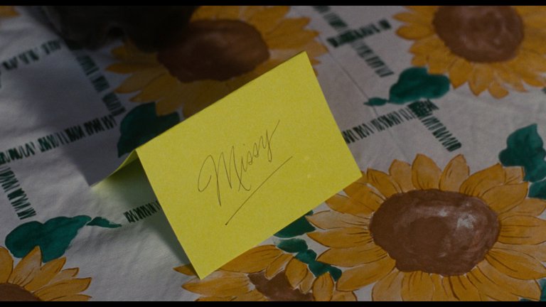 Screen capture from Welcome to the Dollhouse