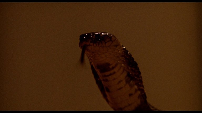 Screen capture from Phantom of the Mall: Eric's Revenge