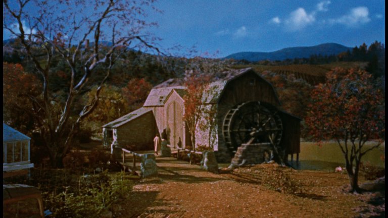 Screen capture from All That Heaven Allows