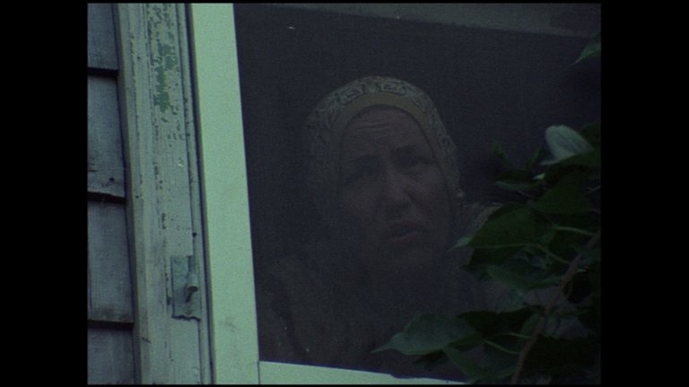 Screen capture from Grey Gardens