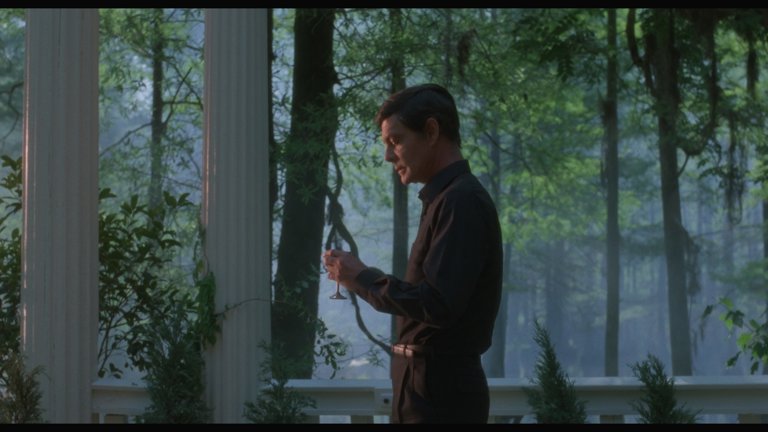 Screen capture from Swamp Thing
