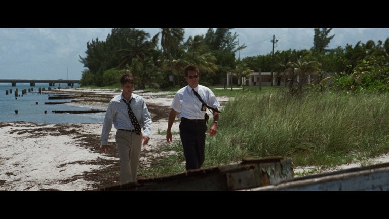 Screen capture from Wild Things