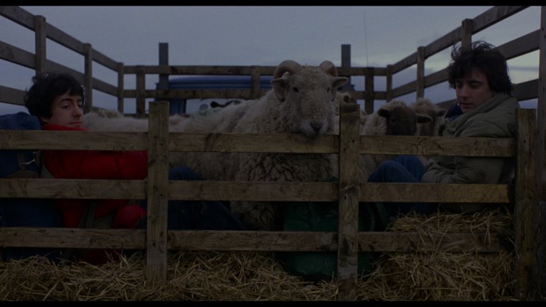 Screen capture from An American Werewolf in London