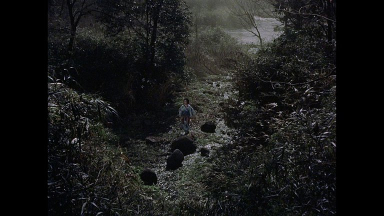 Screen capture from The Samurai Trilogy