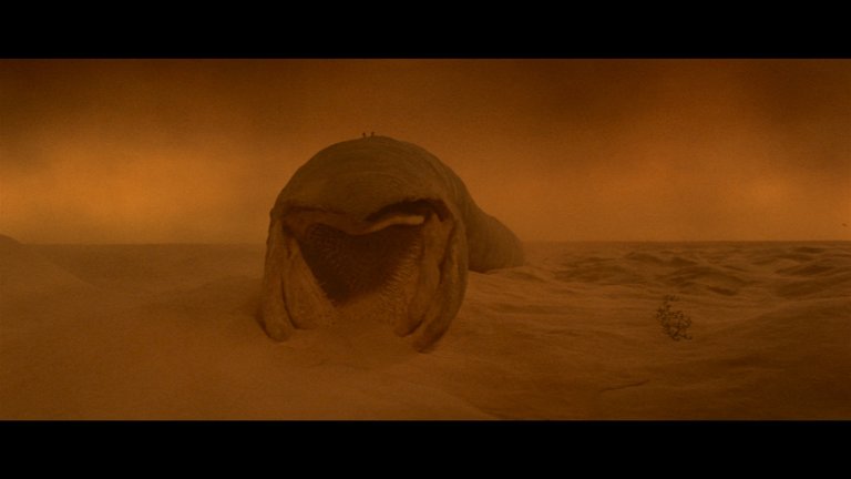Screen capture from Dune