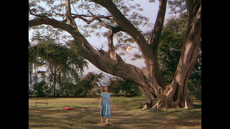 Screen capture from The River