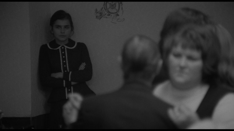 Screen capture from Adoption