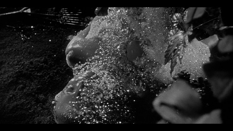 Screen capture from Invasion of the Body Snatchers