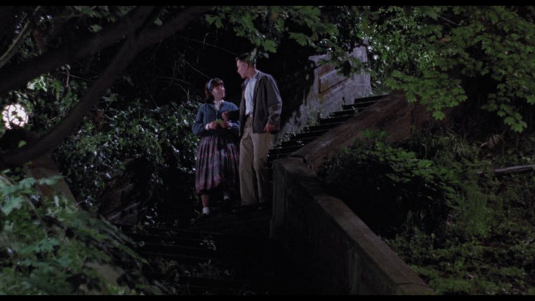 Screen capture from Dogfight