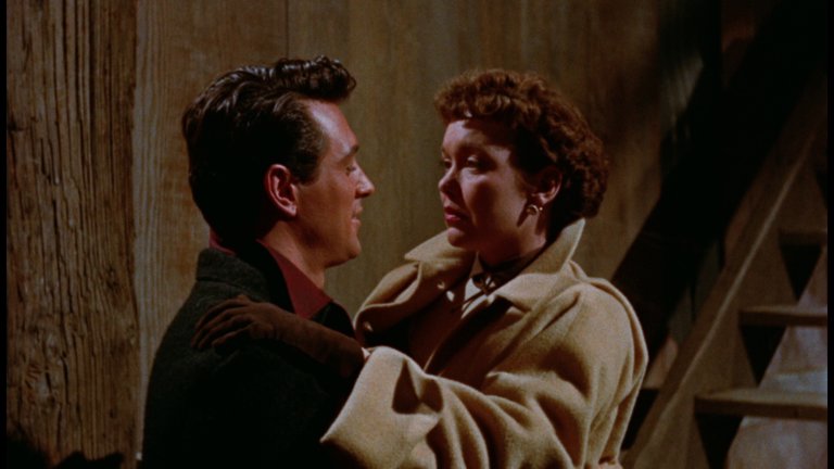 Screen capture from All That Heaven Allows