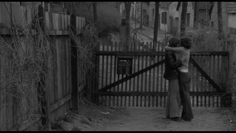 Screen capture from Adoption