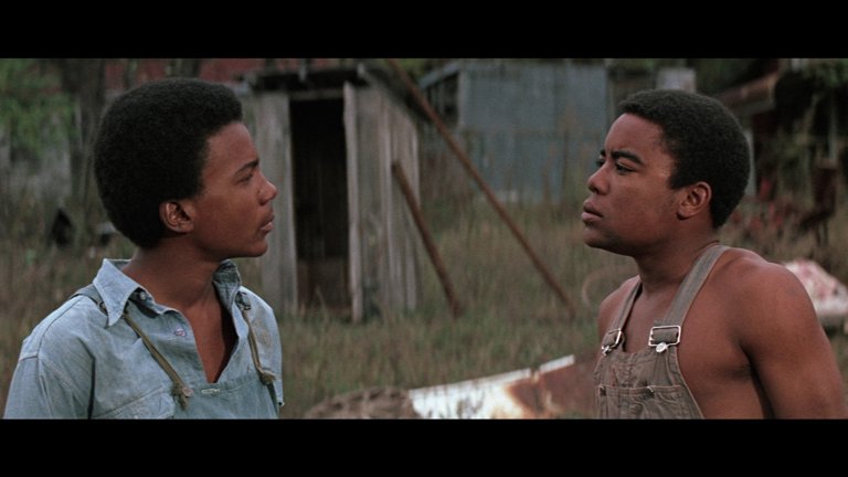 Screen capture from The Learning Tree