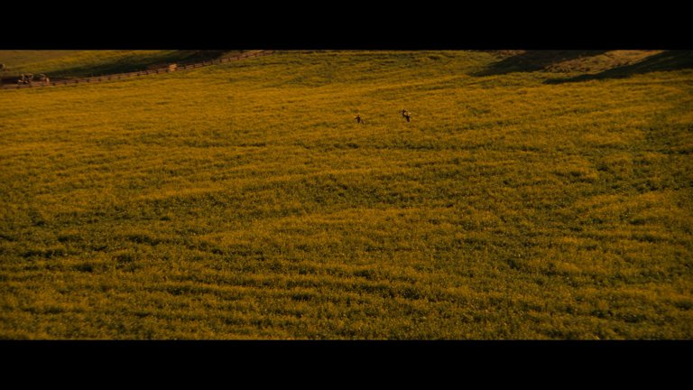 Screen capture from Flatliners