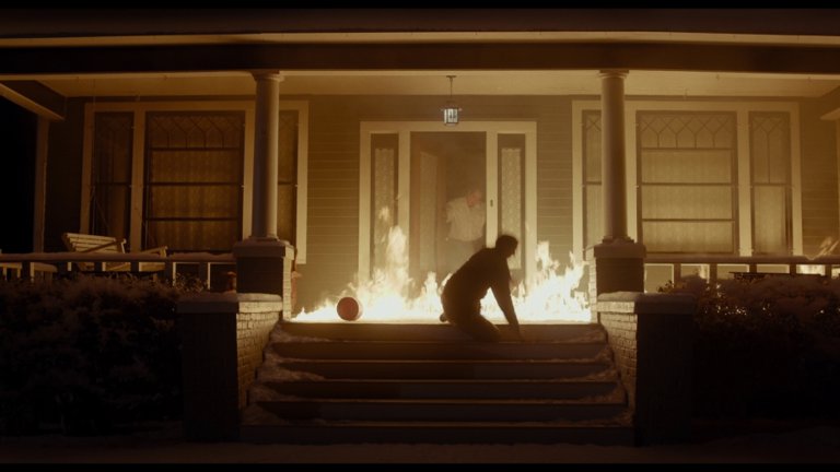 Screen capture from Wildlife