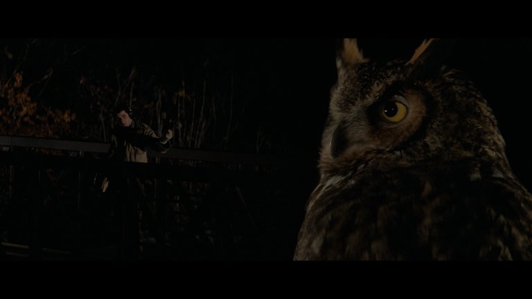 Screen capture from Blow Out