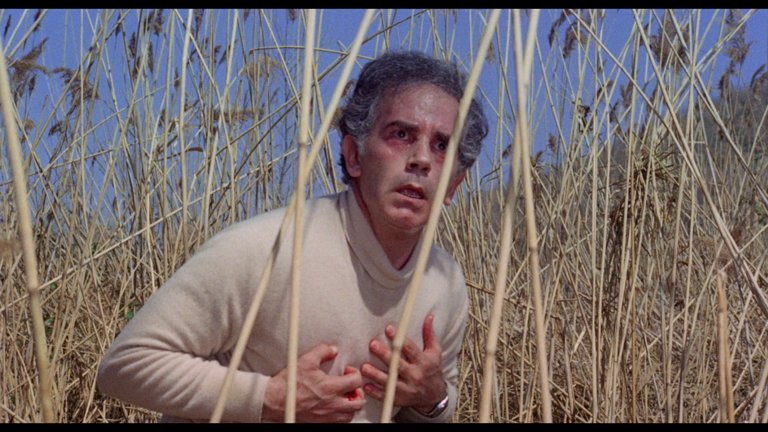 Screen capture from Years Of Lead: Five Classic Italian Crime Thrillers 1973-1977