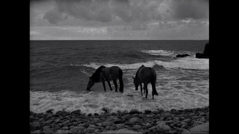 Screen capture from The Seventh Seal