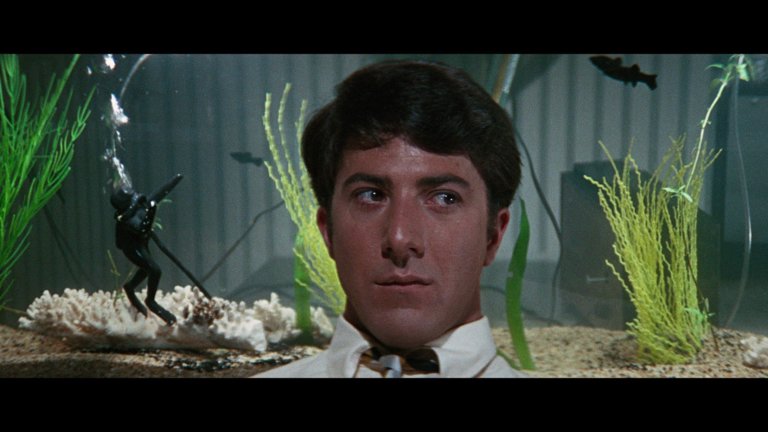 Screen capture from The Graduate
