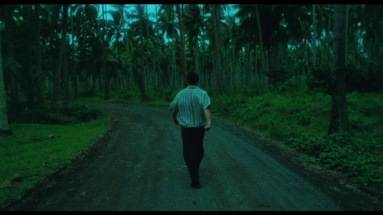 Screen capture from World of Wong Kar Wai