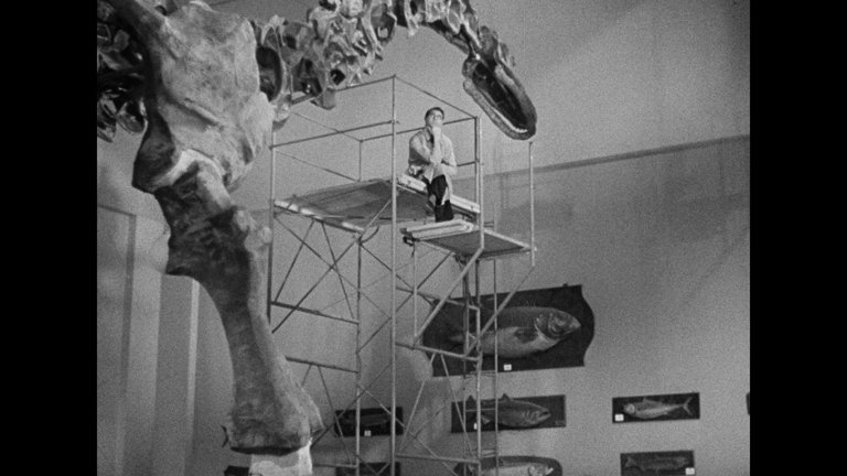 Screen capture from Bringing Up Baby