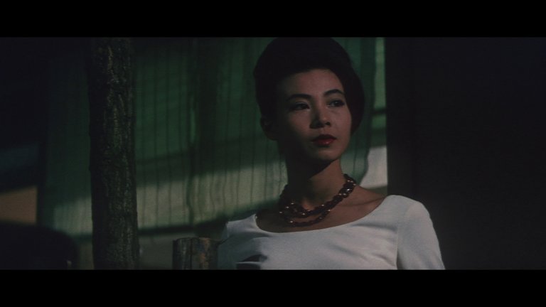 Screen capture from The Shape of Night