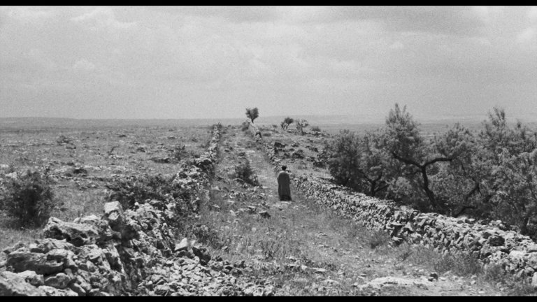 Screen capture from Pasolini 101