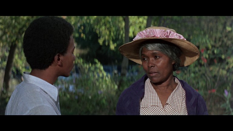 Screen capture from The Learning Tree